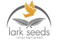 Lark seeds, США
