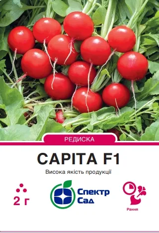 Редиска Саріта F1, 2 гр