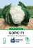 Цвітна капуста Боріс F1, 15 шт