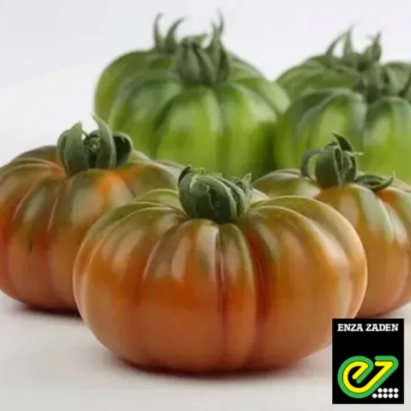 Томат Марсалато F1, 5 шт