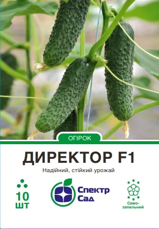 Огірок Директор F1, 10 шт