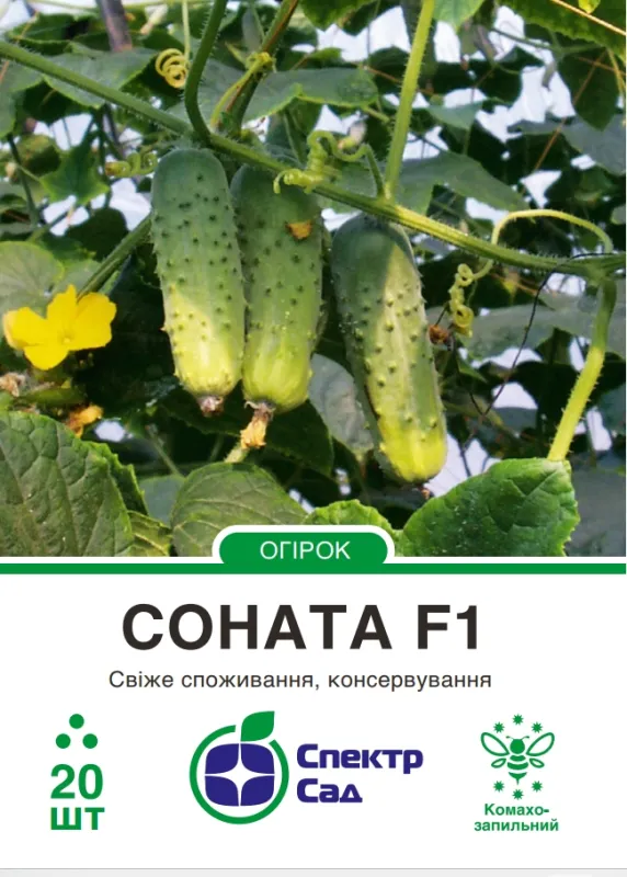 Огірок Соната F1, 20 шт