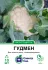 Цвітна капуста Гудмен, 10 шт