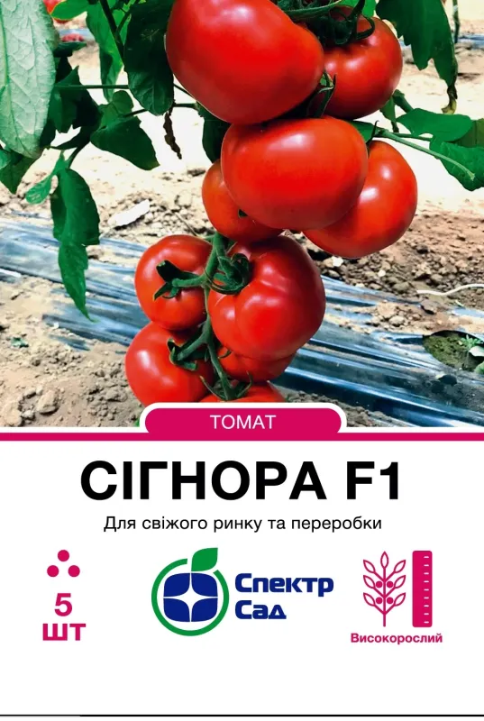 Томат Сігнора F1, 5 шт