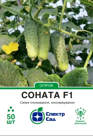 Огірок Соната F1, 20 шт