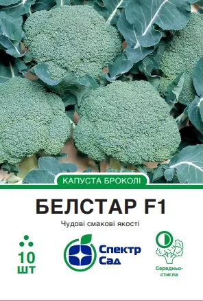 Капуста броколі Белстар F1, 10 шт