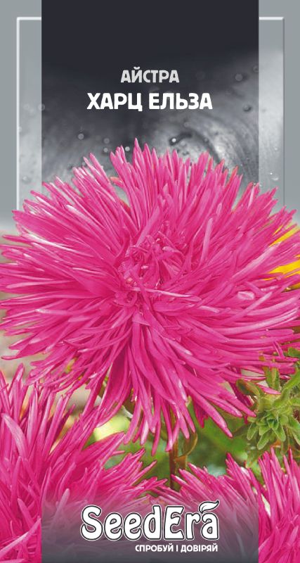 Насіння Айстри Високоросла Харц Ельза 0,25 г