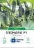 Огірок Ілонара F1, 10 шт