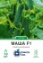 Огірок Маша F1, 10 шт