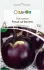 Баклажан Ронде де Валенс, 0,3 г садиба