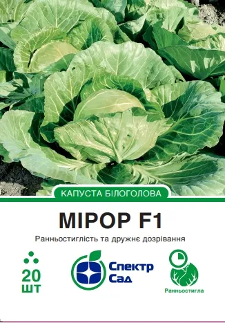 Білоголова капуста Мірор F1, 20 шт