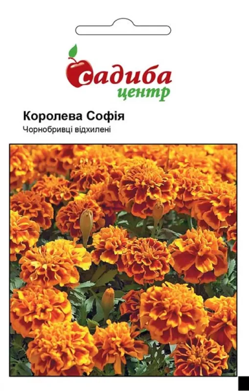Чорнобривці Королева Софія, 0,2 г