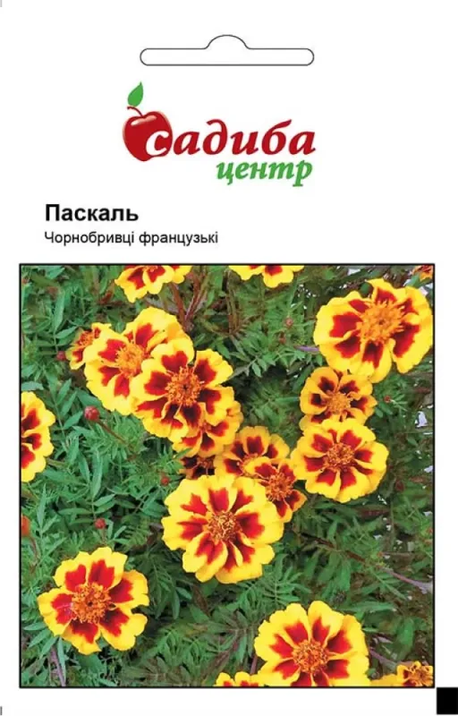 Чорнобривці Паскаль 0,2 г