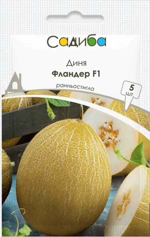 Диня Фландер F1. 5 шт