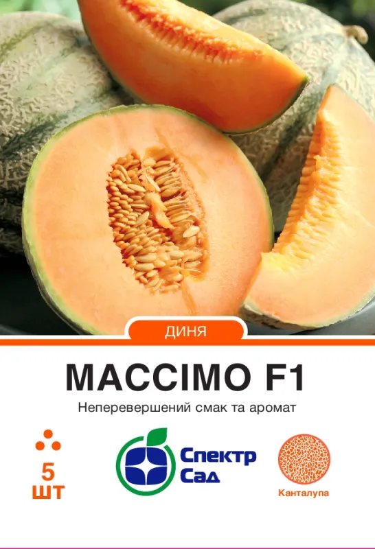 Диня Массімо F1, 5 шт