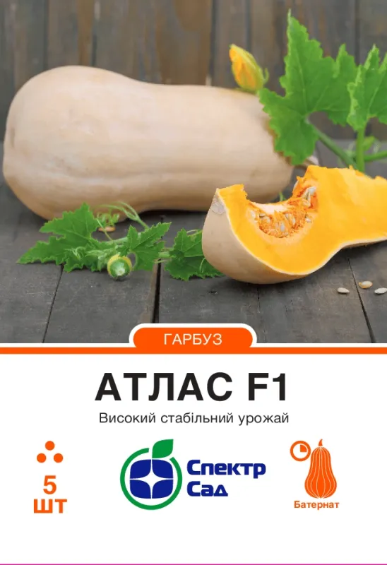 Гарбуз Атлас F1, 5 шт