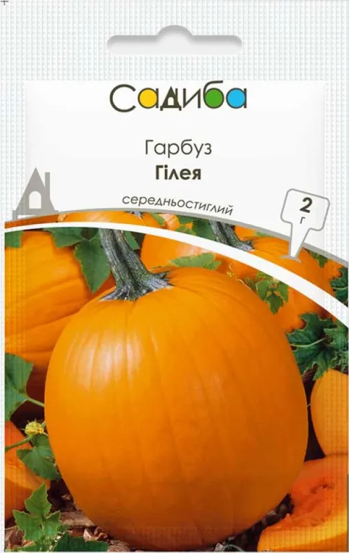 Гарбуз Гілея, 10 гр