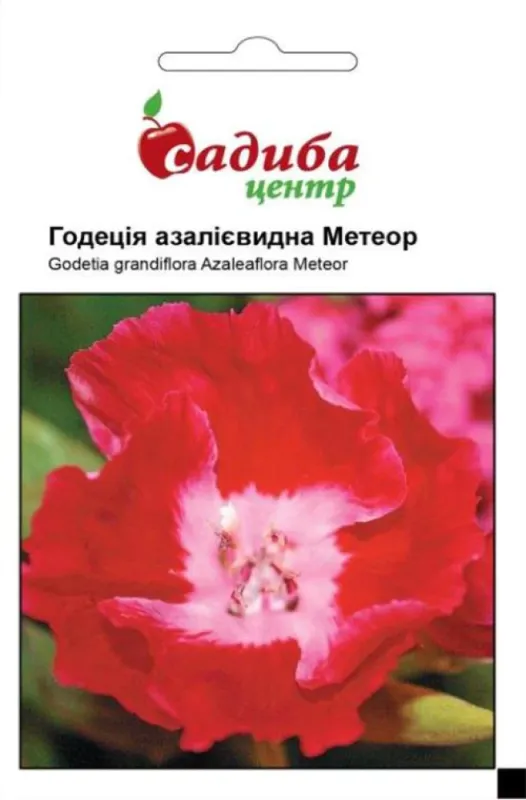 Насіння годеція азалієвидна Метеор 0,2 г