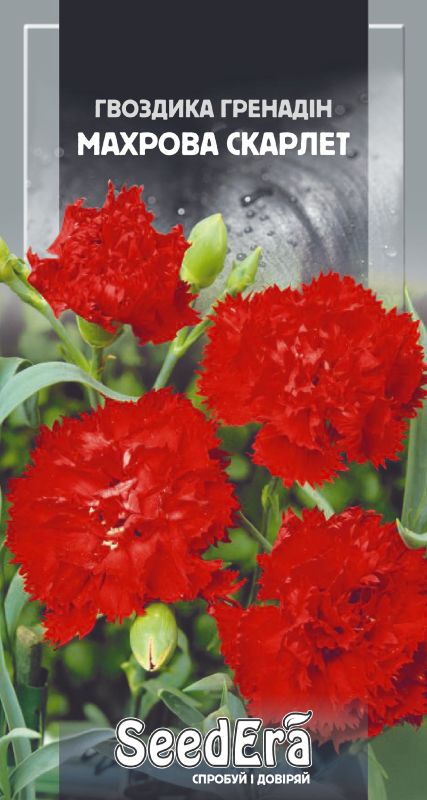 Насіння Гвоздики Гренадін Махрова Скарлет 0,2 г