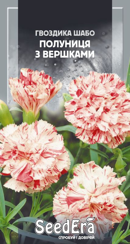 Насіння Гвоздики Шабо Махрова Полуниця З Вершками 0,2 г