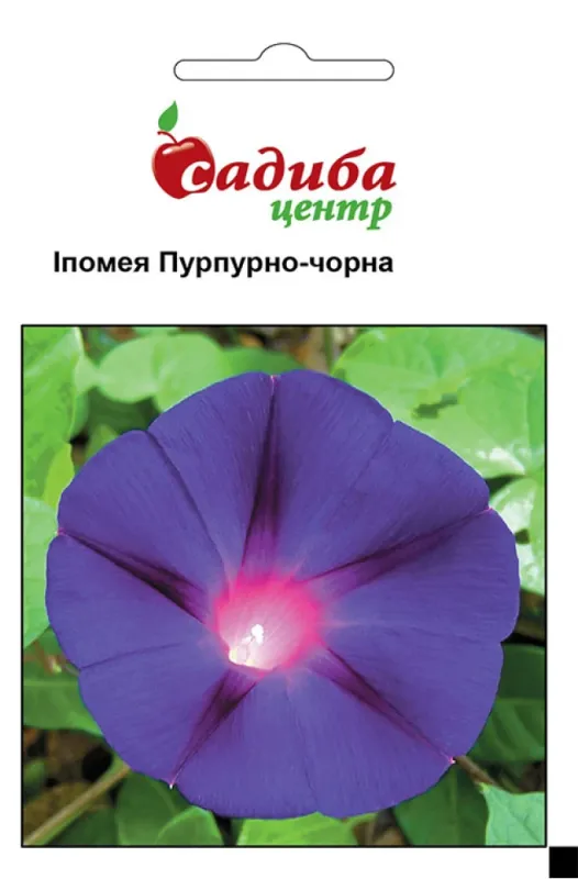 Іпомея Пурпурно-чорна 0,5 гр