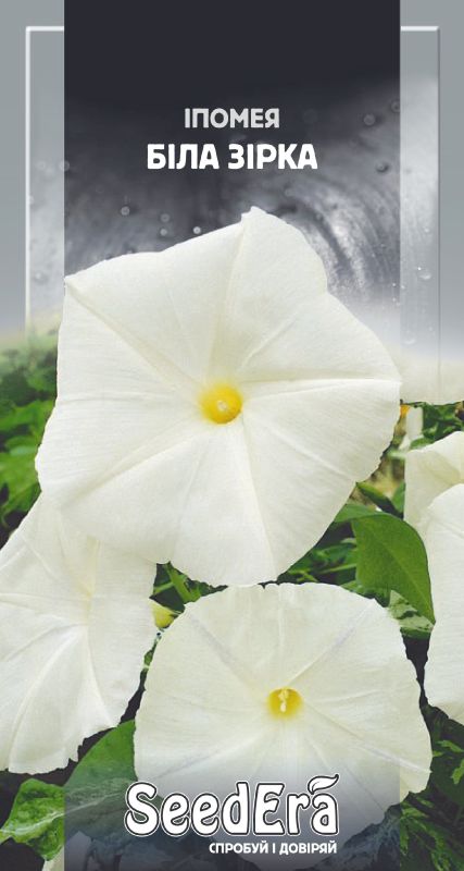 Насіння квітів Іпомея Біла Зірка 1гр