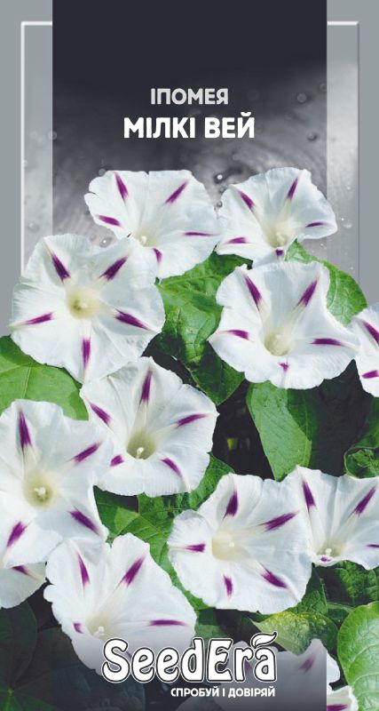 насіння іпомеї Мілкі Вей 1 г