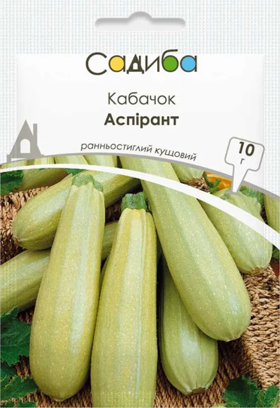 Насіння кабачка кущового Аспірант 10 гр