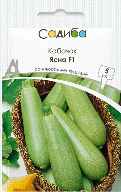 Кабачок цукіні Ясна 5 шт, садиба