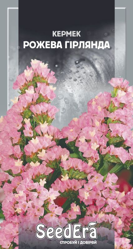 Насіння сухоцвіту Кермеку Виїмчастий рожева Гірлянда 0,2 г