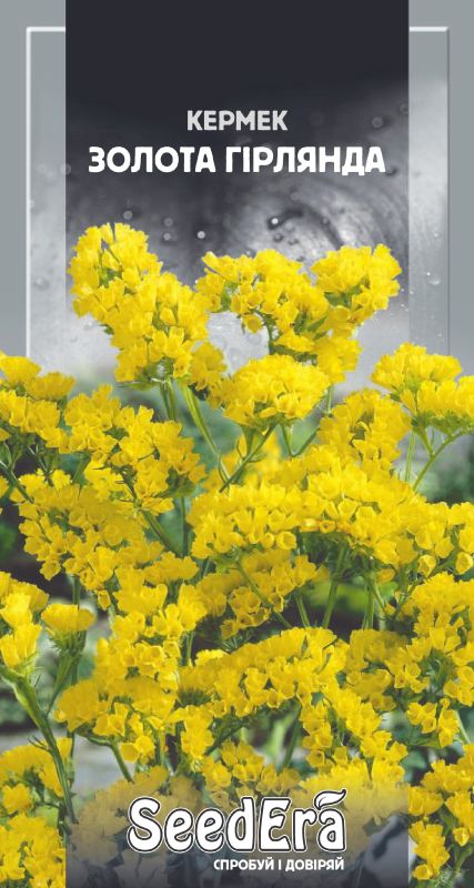 Насіння сухоцвіту Кермеку Виїмчастий Золота Гірлянда 0,2 г