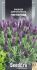 Насіння Лаванди Широколиста Пурпурова 0,1 г