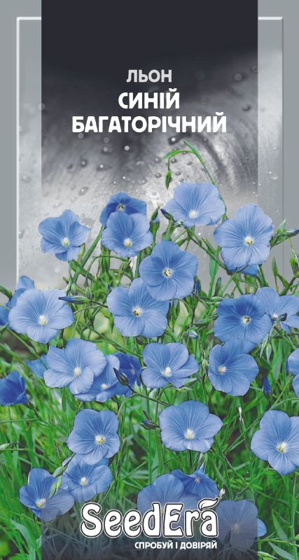 Льон Синій Багаторічний