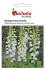 Насіння наперстянки Альба біла з пурпуровими смугами, 0,2 гр