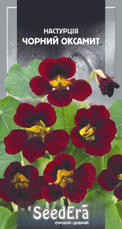 Насіння Настурції Культурної Низькоросла Чорний Оксамит 1,5 г SeedEra