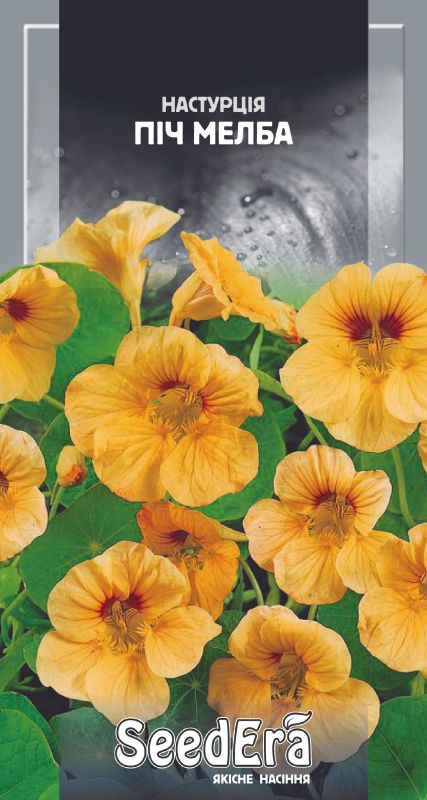 Настурція Культурна Низькоросла Піч Мелба