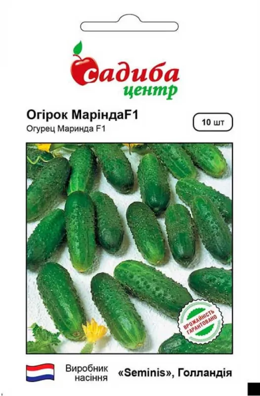 Огірок Марінда F1, 10 шт