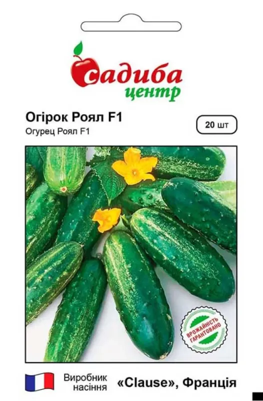 Насіння Огірка Роял F1 20 шт