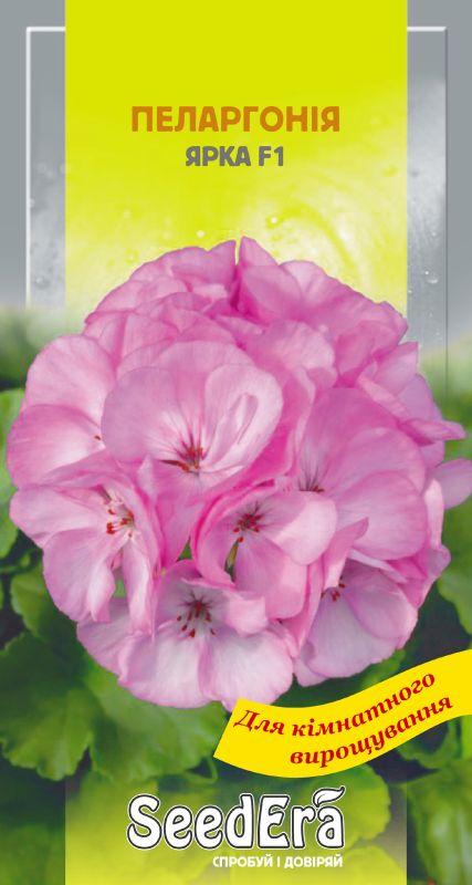 Насіння Пеларгонії  Ярка F1, 5 шт