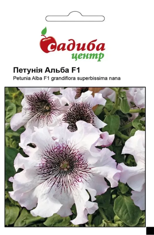 Петунія Альба біла з прожилками F1 10 гран.