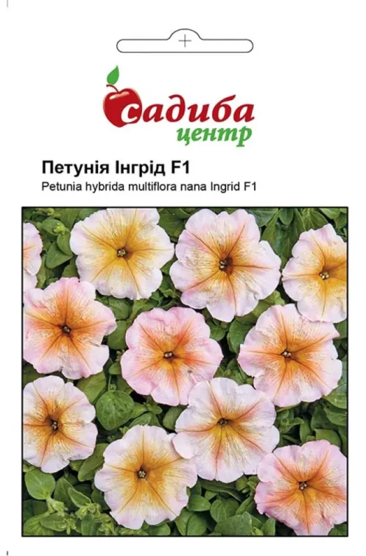 Петунія Інгрід F1, 10 гран