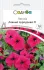 Петунія Лавина пурпурова F1 10 шт