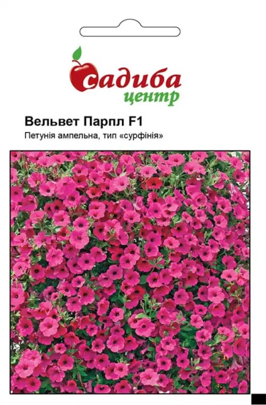 Петунія (сурфінія ) Вельвет Парпл F1, 10 шт