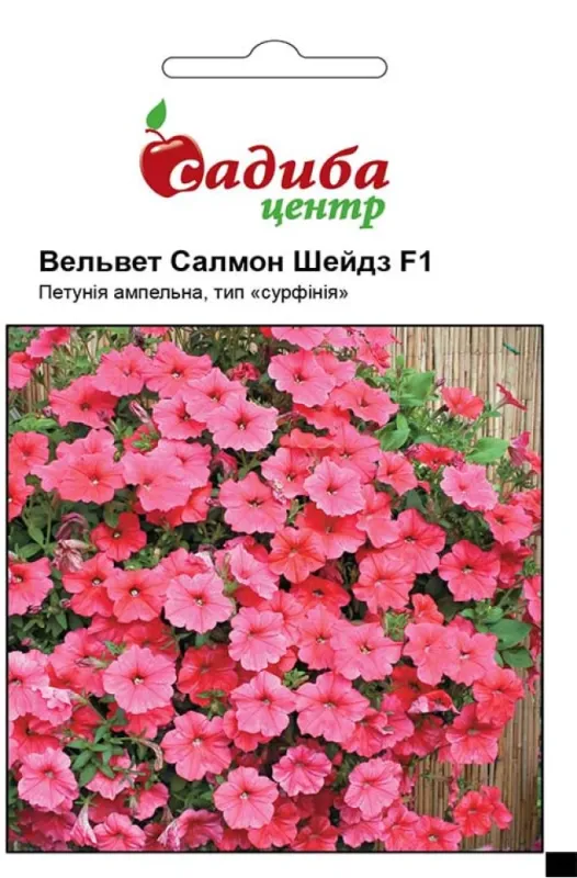 Петунія  (сурфінія )Вельвет Салмон Шейдз F1, 10 шт