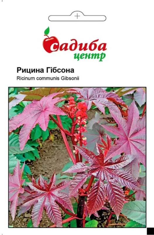 Рицина Гібсона 3 шт