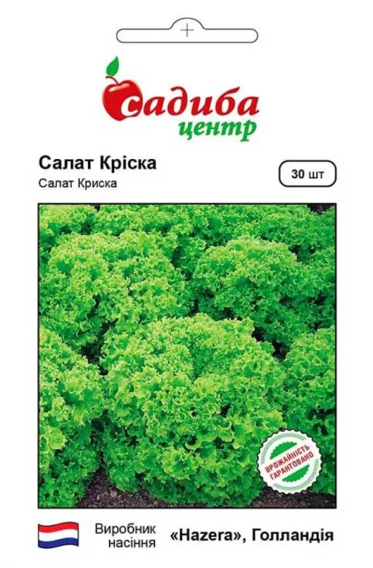 Салат листовий Кріска 30 шт