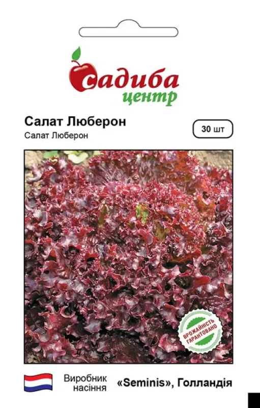 Салат листовий Люберон 30 шт