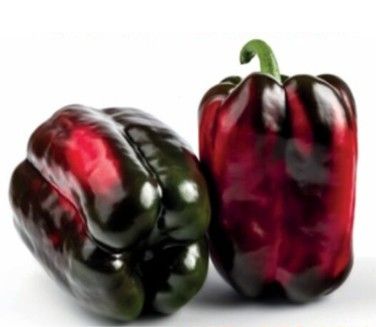 перець солодкий Тріонфо  ( TRIONFO F1 )8 шт