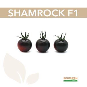 Томат Черрі Шамрок F1 5 шт