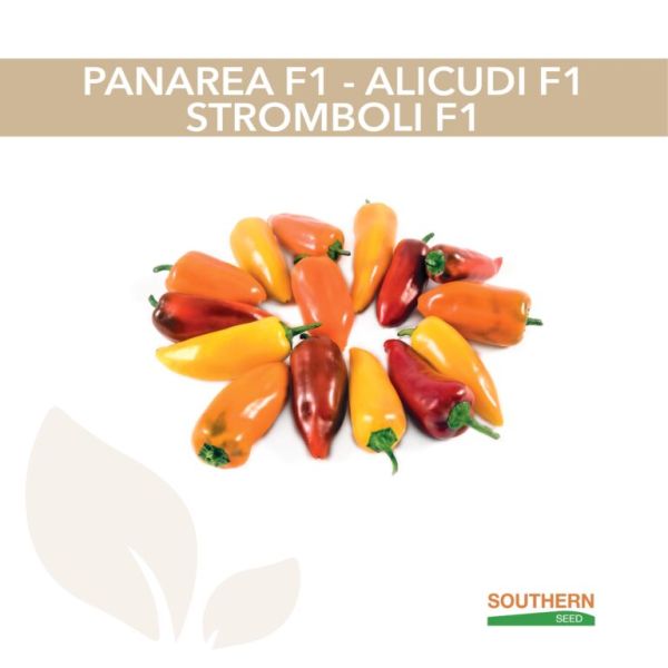 Перець солодкий Стромболі F1 8 шт